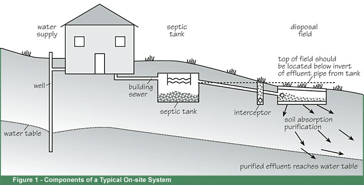 Componants of a typical on-site system